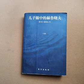 儿子眼中的赫鲁晓夫下册