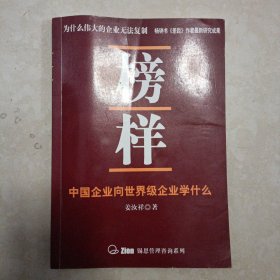 榜样 中国企业向世界级企业学什么