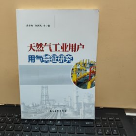 天然气工业用户用气特征研究（内页干净无笔记，详细参照书影）