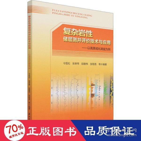 复杂岩性储层测井评价技术与应用——以高原咸化湖盆为例