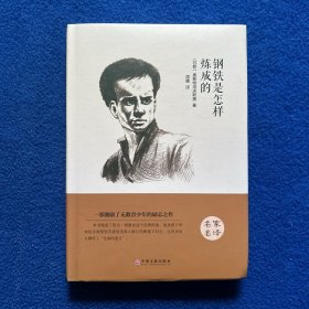钢铁是怎样炼成的