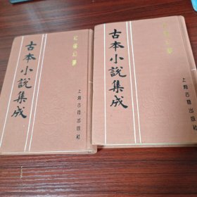 红楼幻梦（古本小说集成上下）