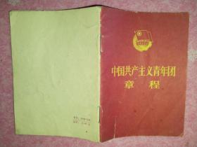 中国共产主义青年团党章，1983年