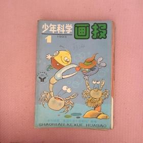 少年科学画报1993年全