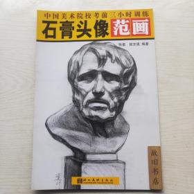 中国美术院校考前三小时训练：石膏头像范画
