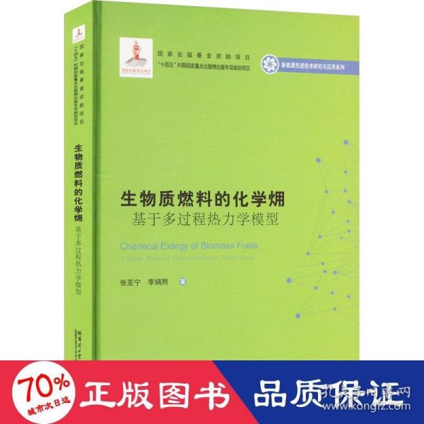 生物质燃料的化学？：基于多过程热力学模型（2020新能源基金）