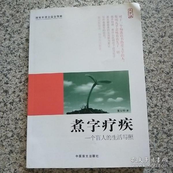 煮字疗疾—一个盲人的生活写照（大字版）