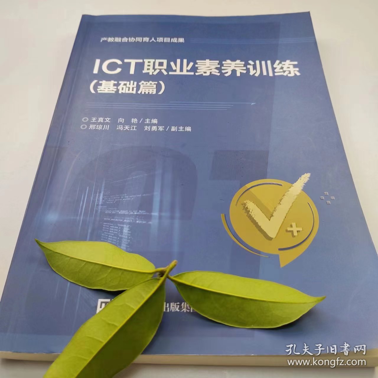 【正版二手】ICT职业素养训练基础篇王真文9787121422485电子工业出版社