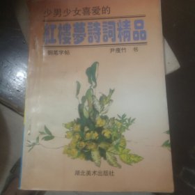 红楼梦诗词精品钢笔字帖