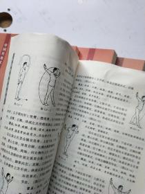 中国传统武术丛书（全9册）