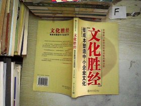 文化胜经：低成本塑造中小企业文化.