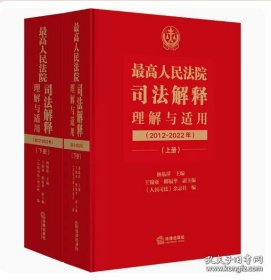 2022新书 最高人民法院司法解释理解与适用 2012-2022年上下册 杨临萍 法律解释 法律适用标准 法律出版社
