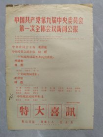 中国共产党第九届中央委员会第一次全体会议新闻公报（1969年4月29日）