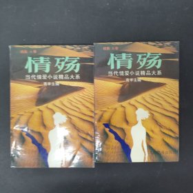 情殇:当代情爱小说精品大系.续集 AB（2本合售）