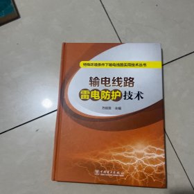 特殊环境条件下输电线路实用技术丛书 输电线路雷电防护技术