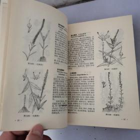 中国高等植物图鉴第三册，第四册【2本合售】