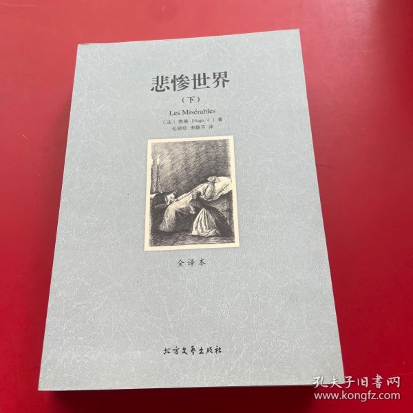 世界文学名著:悲惨世界(全译本)(套装共2册)