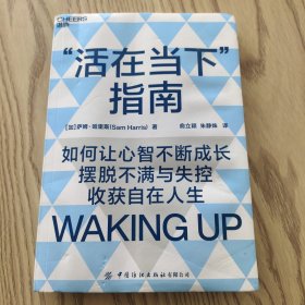 “活在当下”指南：带你提升心智，摆脱不满与失控，活得自在且清醒