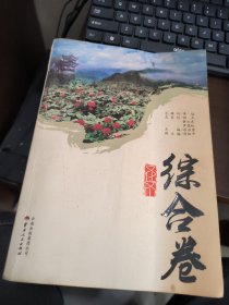 文化文山（综合卷）