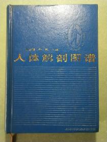 人体解剖图谱(修订本) 精装本