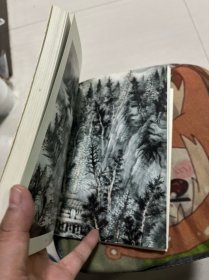 当代中国画家研究丛书.曾先国、李健强绘画作品、中国书画名家 合售