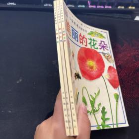 DK小探索者科普系列（3册合售）