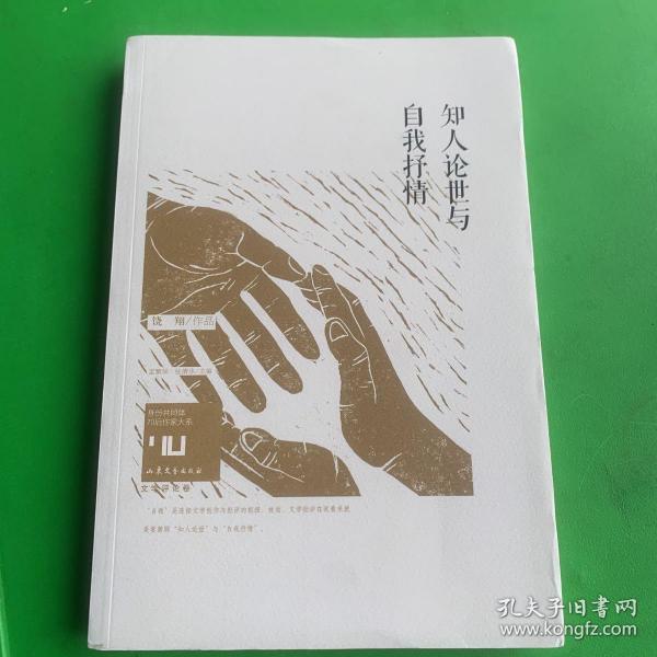 身份共同体·70后作家大系：知人论世与自我抒情（文学批评卷）