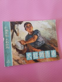 广阔天地，大有作为 火红的青春