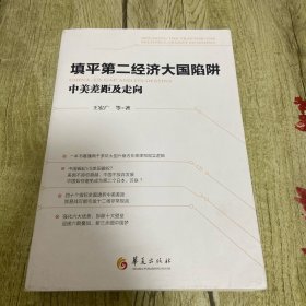 填平第二经济大国陷阱：中美差距及走向