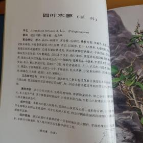 内蒙古珍稀濒危植物图谱