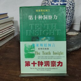 塞莱斯廷预言Ⅱ第十种洞察力