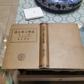 化学工业全书（第十七册）