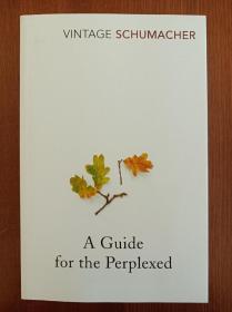 A Guide for the Perplexed（现货，实拍书影）