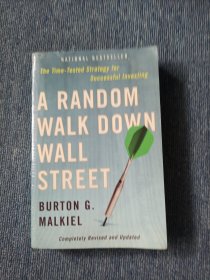 A Random Walk Down Wall Street 《漫步华尔街》 第八版