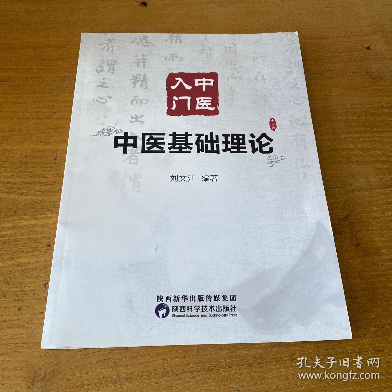中医入门：中医基础理论【实物拍照现货正版】