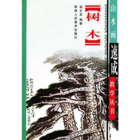 山水画速成教学丛书（全套6本）