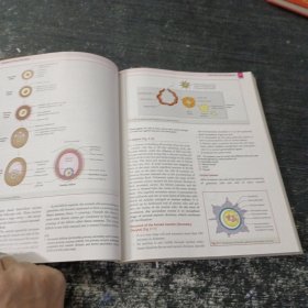 Textbook Of Clinical Embryology