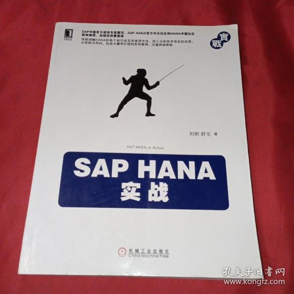 SAP HANA实战