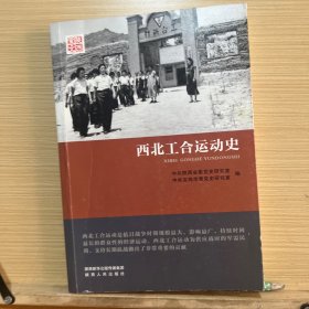 西北工合运动史