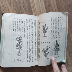 中医古籍整理丛书《本草蒙筌 》