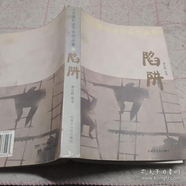 小长篇社会写实作品集：狐狸