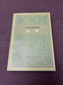 陀思妥耶夫斯基作品集：少年