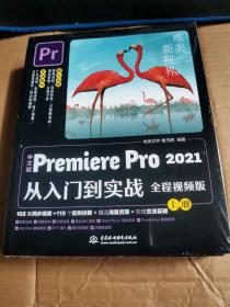 中文版Premiere Pro 2021从入门到实战 （全程视频版）