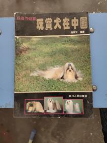 玩赏犬在中国，投资与经营