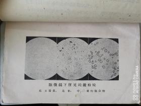 民国原版（1928年），国难后第一版《少年自然科学丛书•燃料 食料》，大量插图，“松江私立正心女中”藏书章！