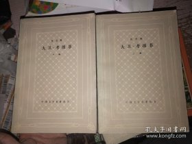 网格本《大卫 考坡菲》上下