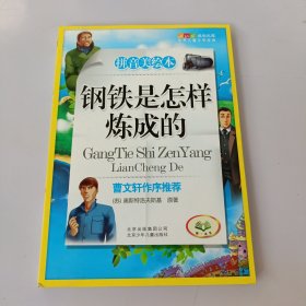 钢铁是怎样炼成的-成长文库 拼音美绘本 (中小学图书馆推荐图书） 有盖章如图