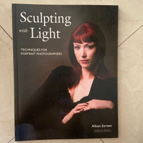 Sculpting with Light