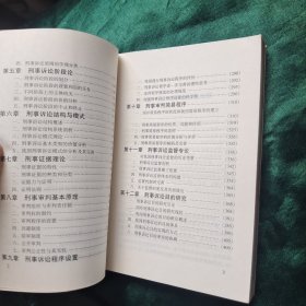 刑事诉讼理论研究