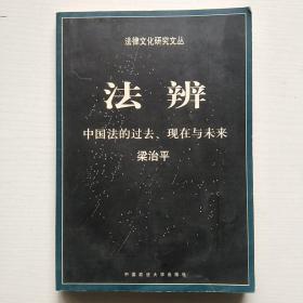 法辨：中国法的过去、现在与未来